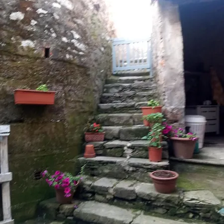 Casa Rosa